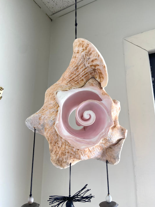 Conch Shell & Sea Shell Wind Chime by Tribal