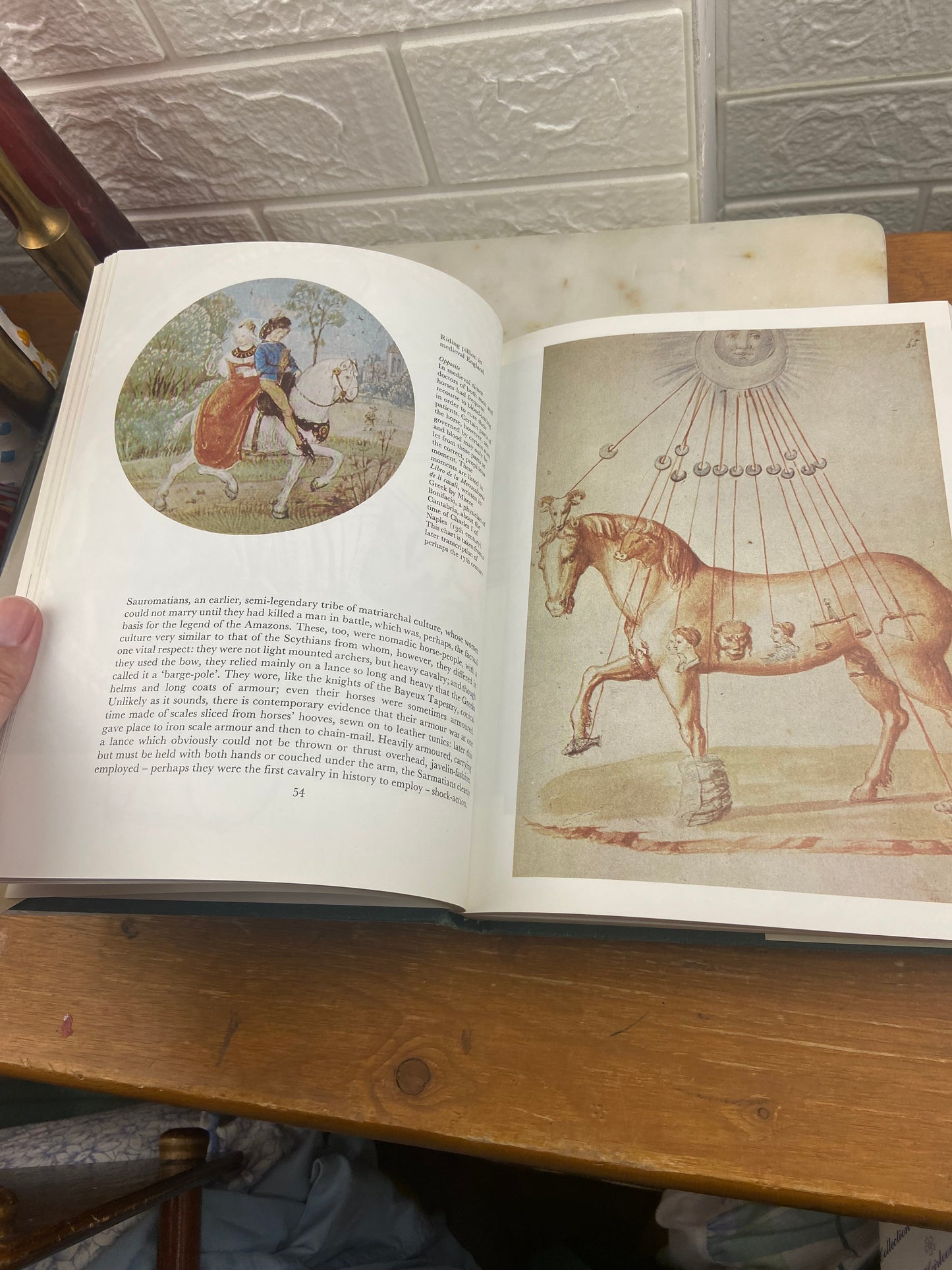 A History of Horsemanship by Charles Chenevix-Trench