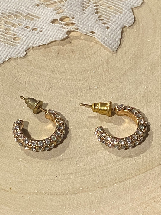 Small Sparkly Hoops [Posts]