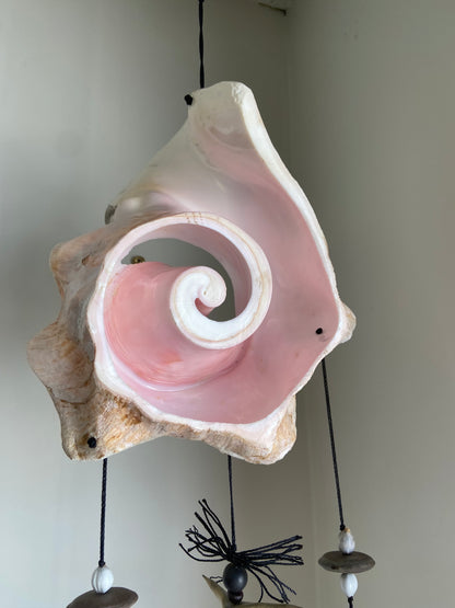 Conch Shell & Sea Shell Wind Chime by Tribal
