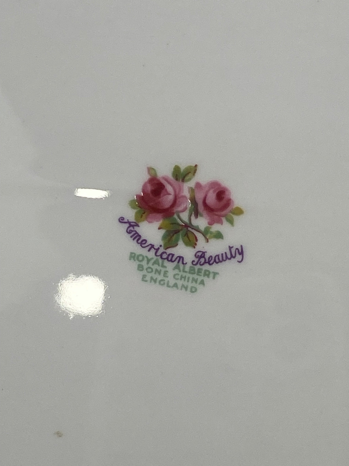 Royal Albert Porcelain Oval Serving Platter | American Beauty Pattern