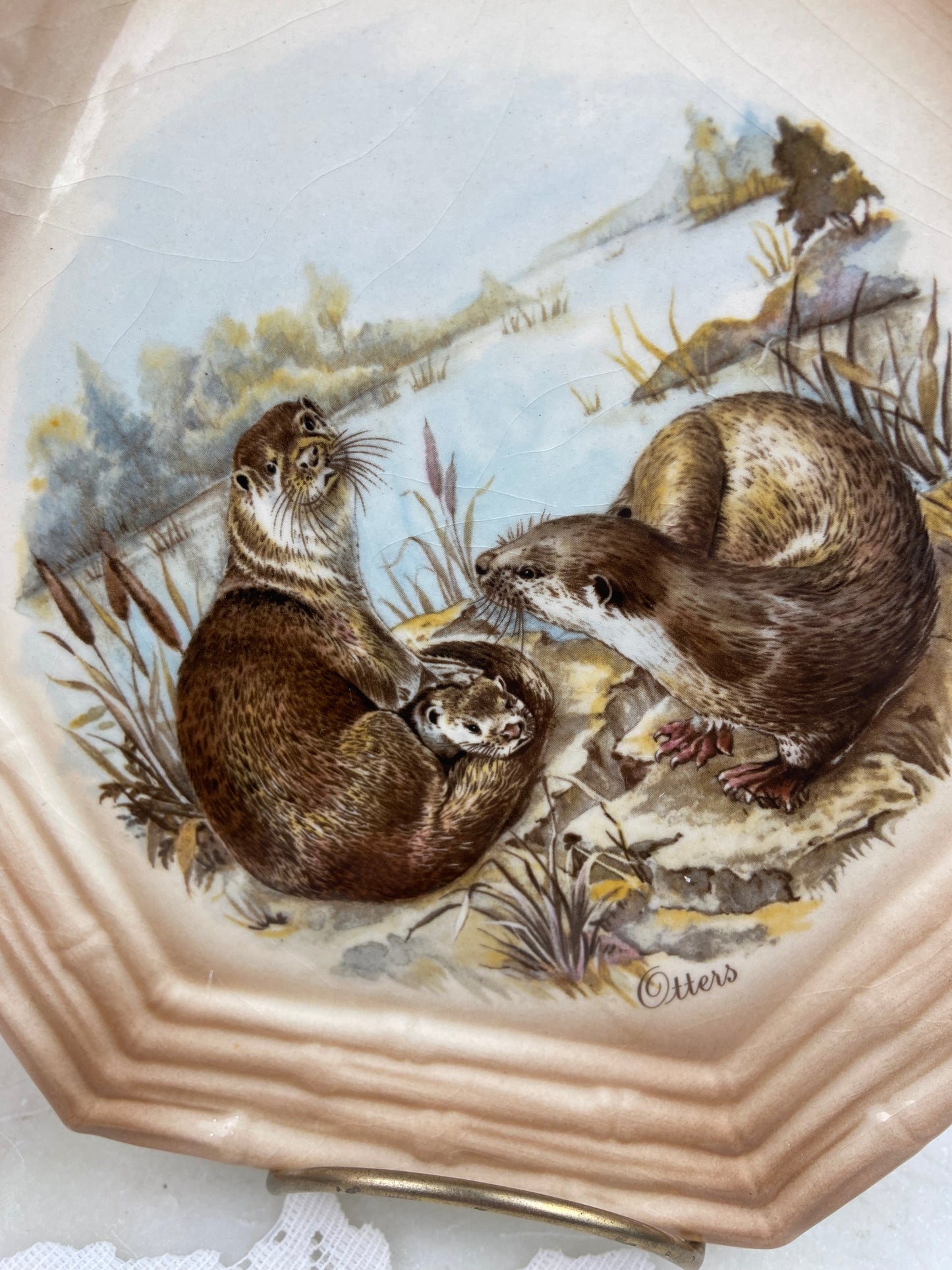 Hexagonal Ceramic Decorative Plate with Family of Otters