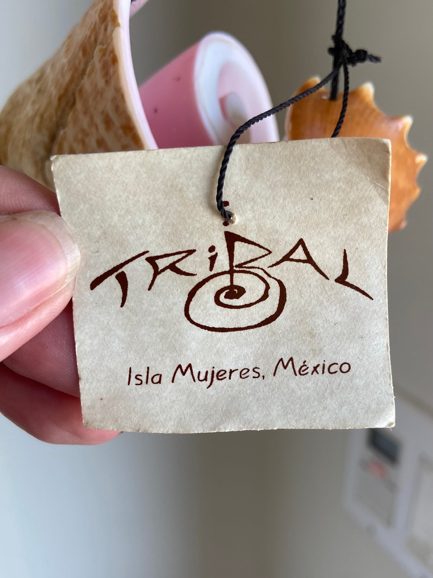 Conch Shell & Sea Shell Wind Chime by Tribal