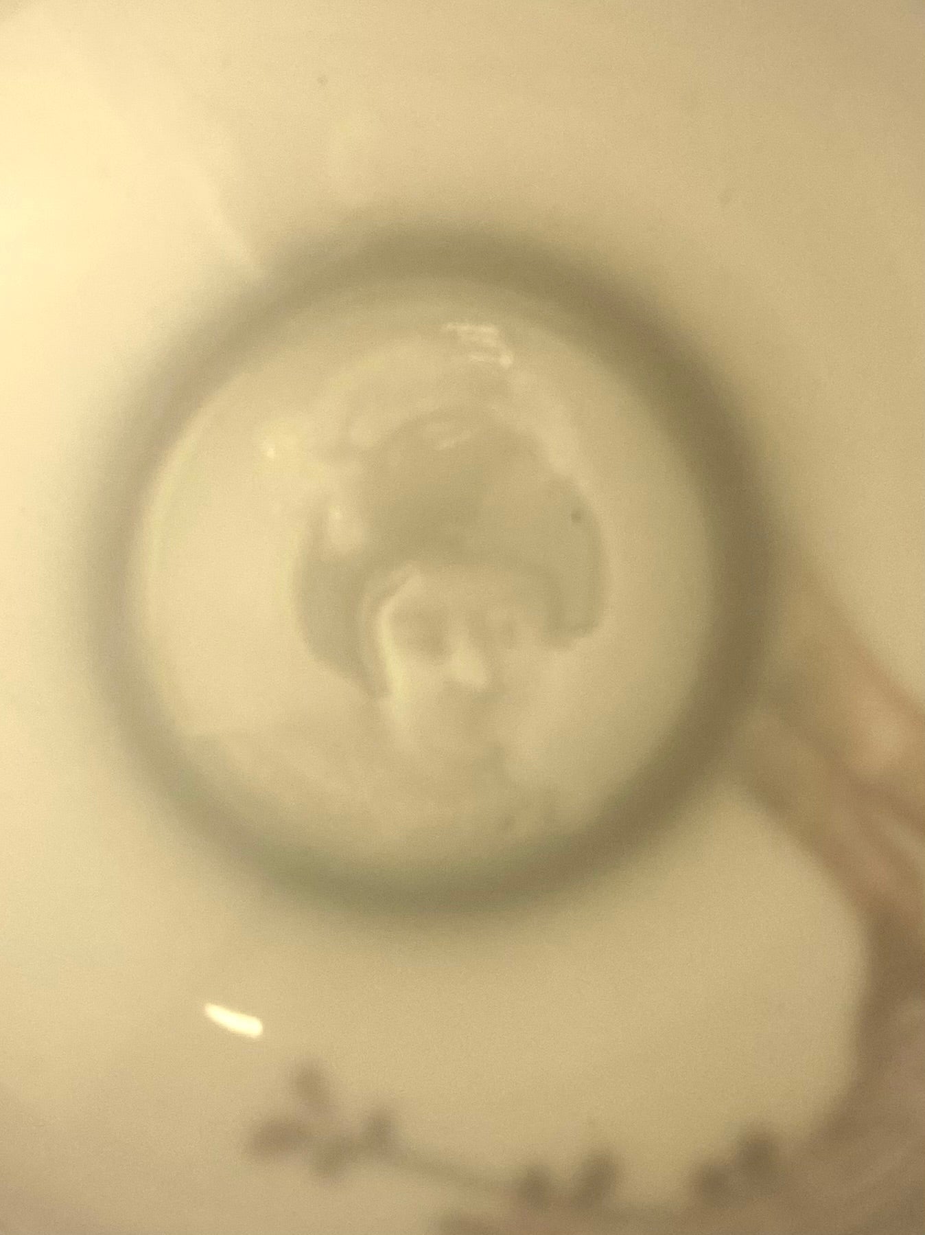 Japanese Eggshell Porcelain Lithophane Tea Set with Cherry Blossoms