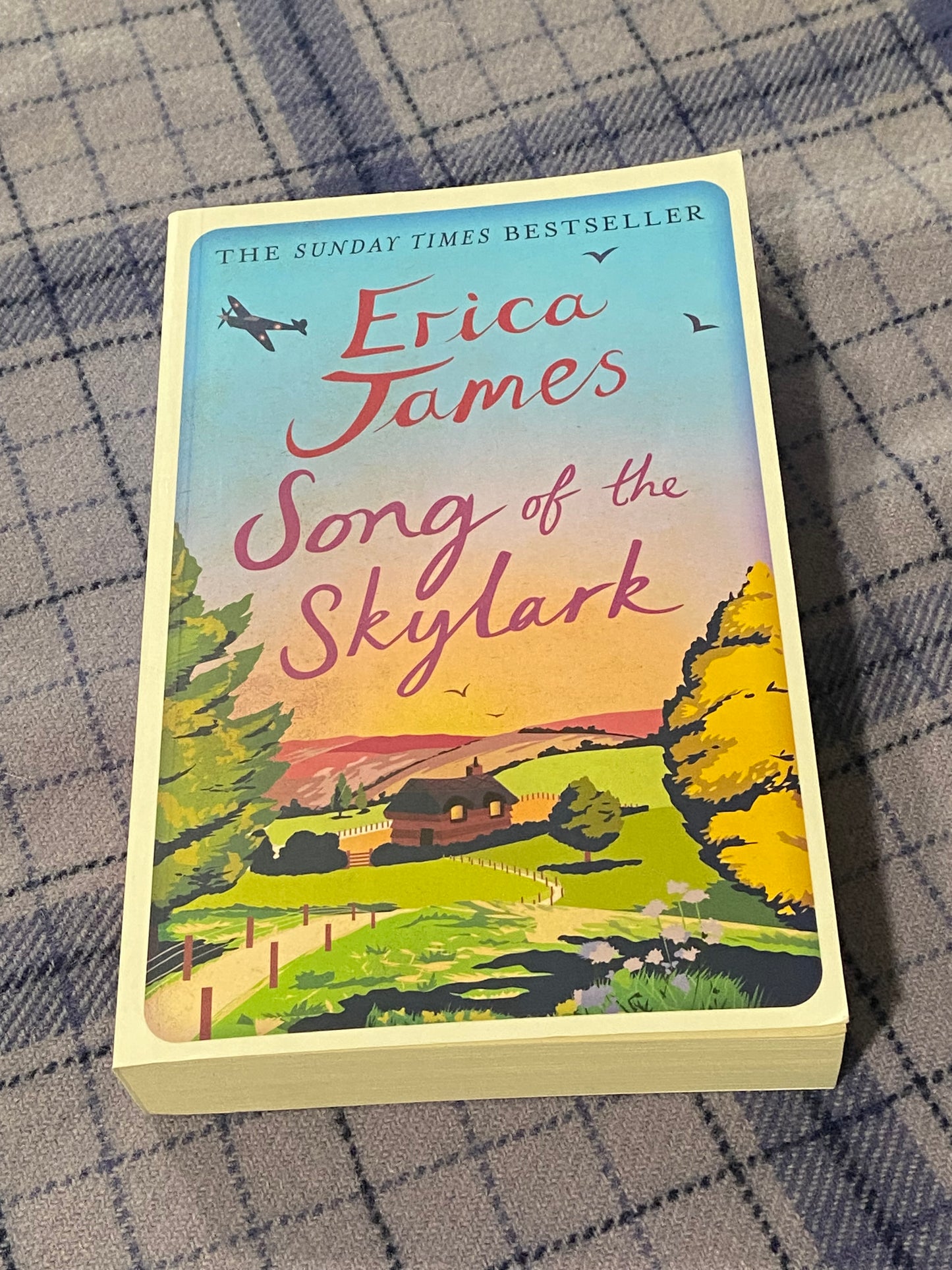 Songs of the Skylark by Erica James