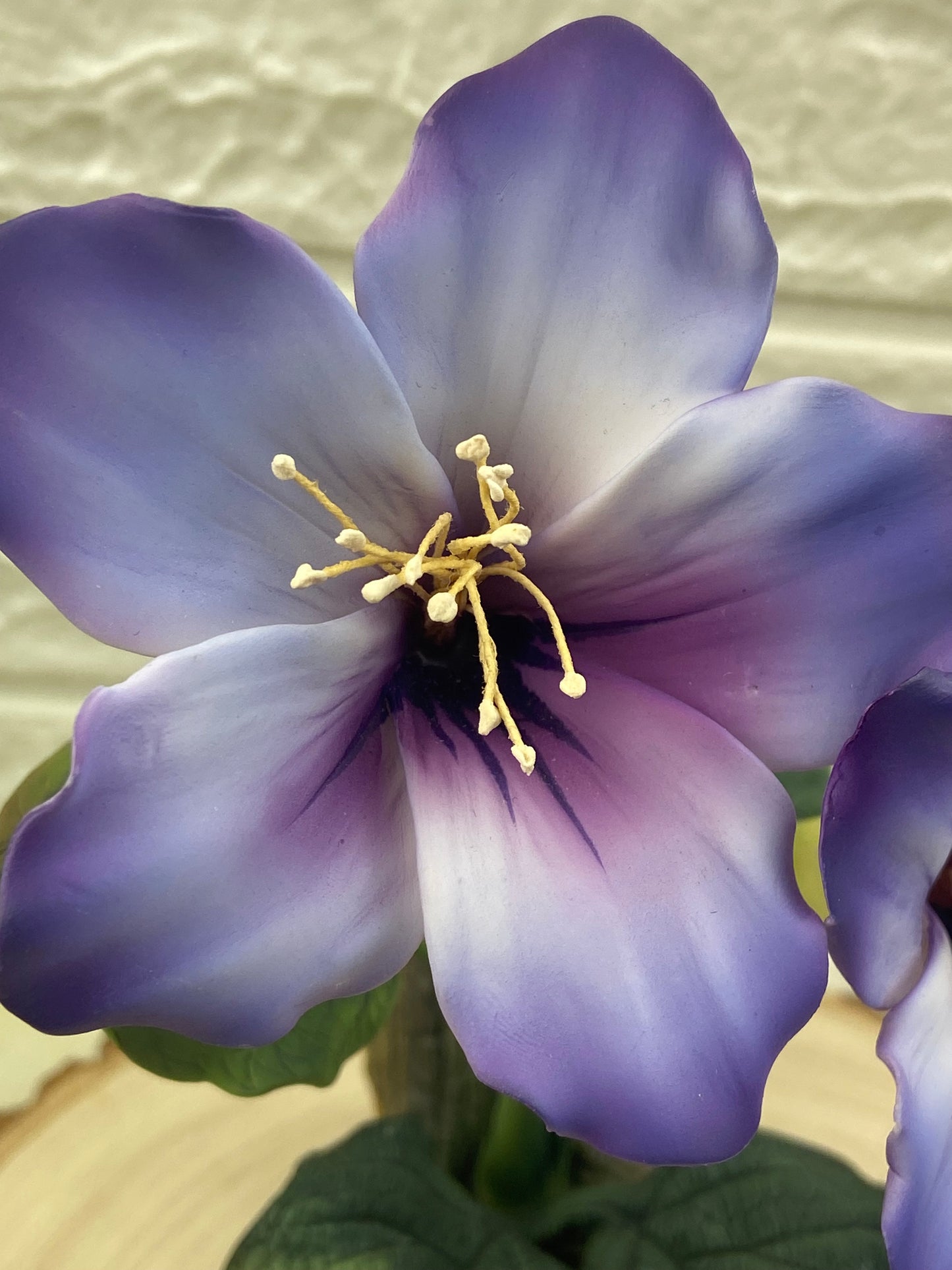 Hand Painted Bisque Porcelain Purple Hellebore Flowers | Andrea by Sadek