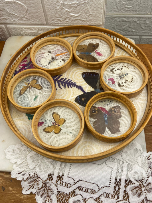 Round Bamboo Drink Tray with Set of 6 x Matching Casters | Butterfly Wings