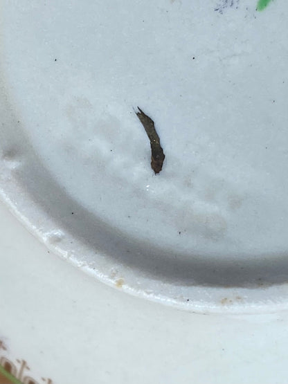 Single Porcelain Teacup by W.H. Grindley