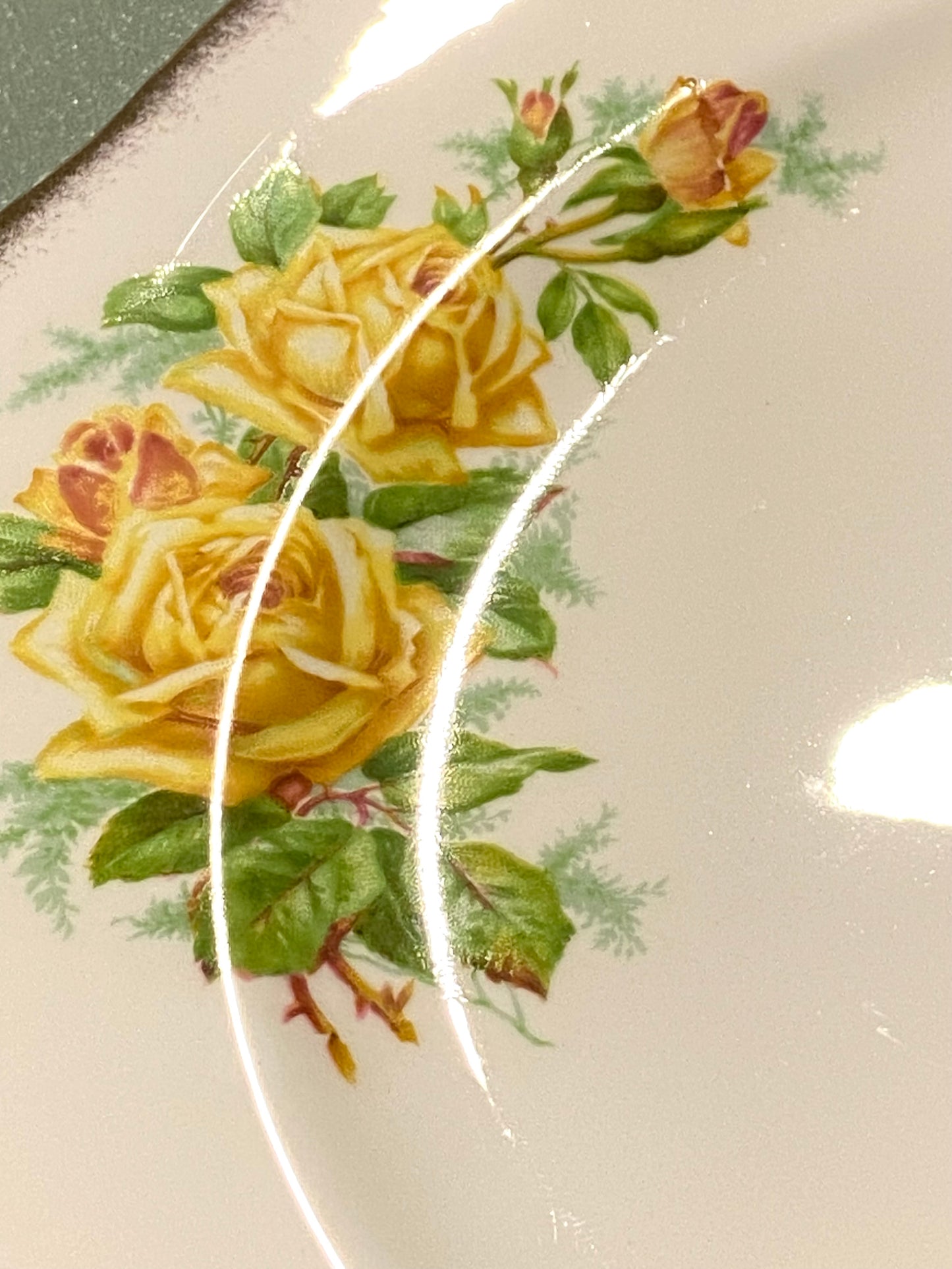 Royal Albert Bone China Dinner Plate 10.5” | Tea Rose Pattern