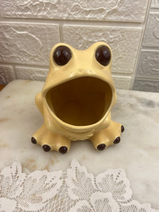 Ceramic Wide-Mouth Frog Sponge Holder