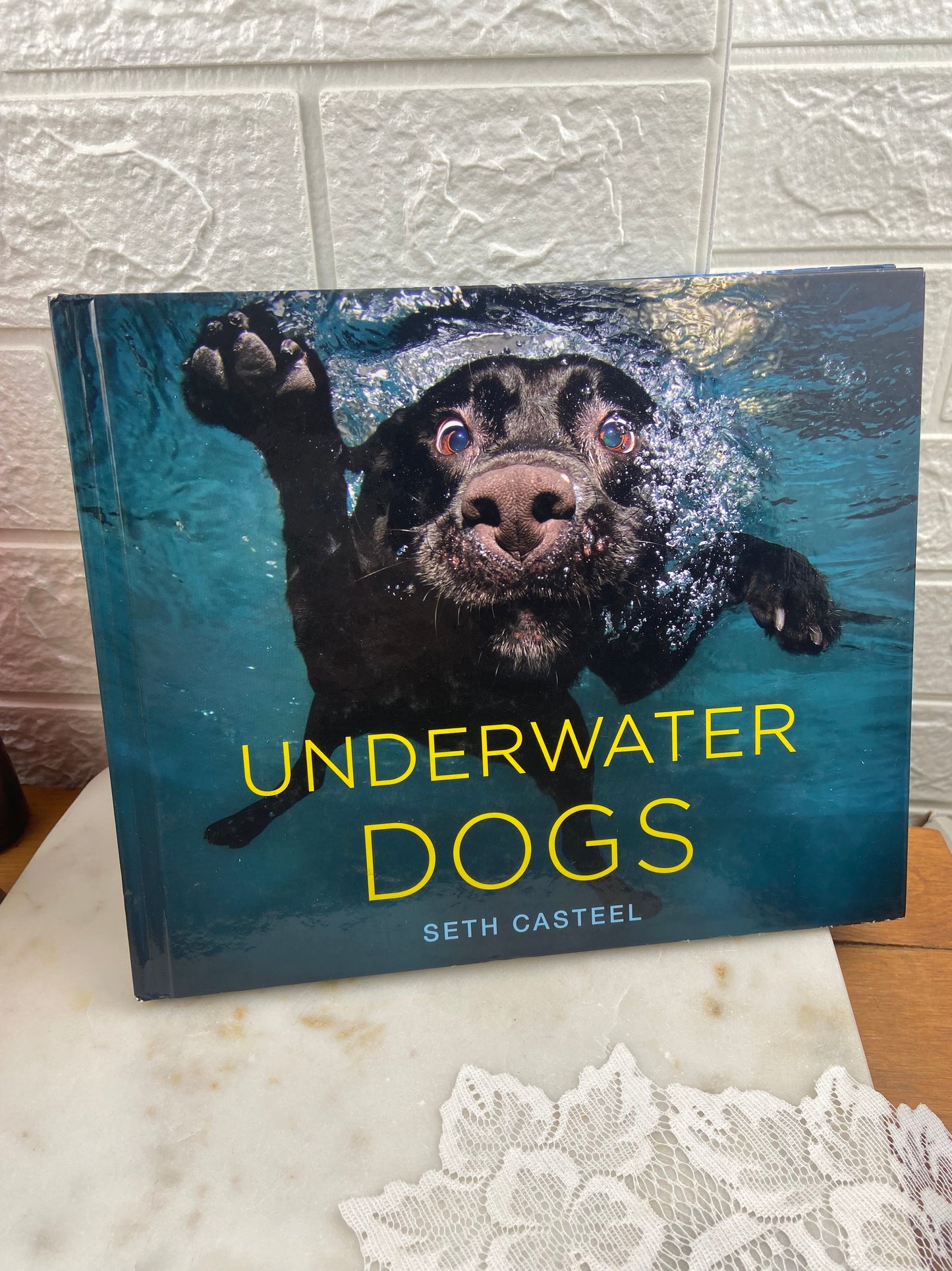 Underwater Dogs by Seth Casteel [Hardcover]